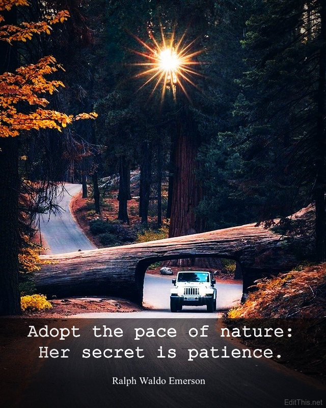 Sri Lankans Turn To Social Media For Help As Economic Crisis Bites